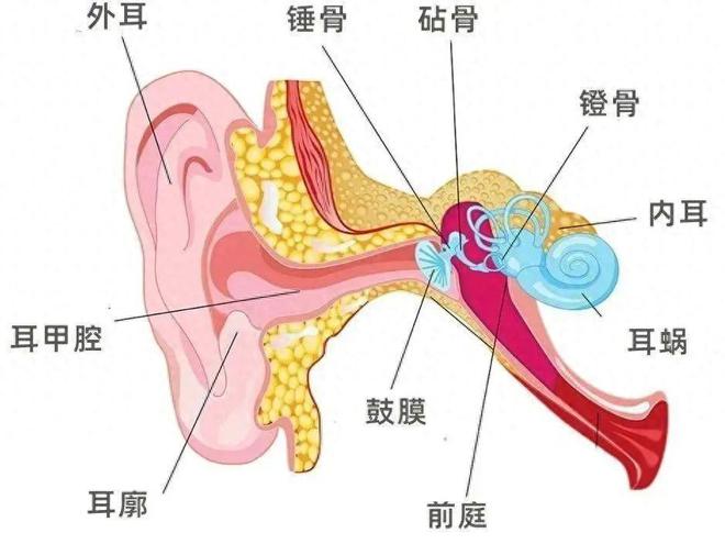 绝地求生低价黑号货源网_绝地求生黑号卡盟_绝地求生黑号发卡网